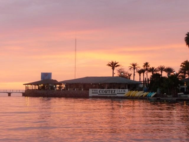 Kayaks del club